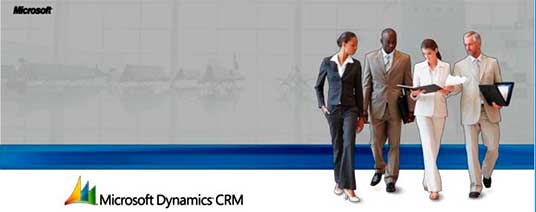 Error Updating CRM Organization