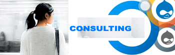 drupal consulting